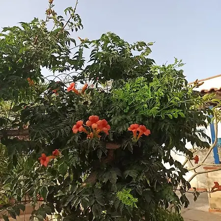 La Casa Di Amelie Villa