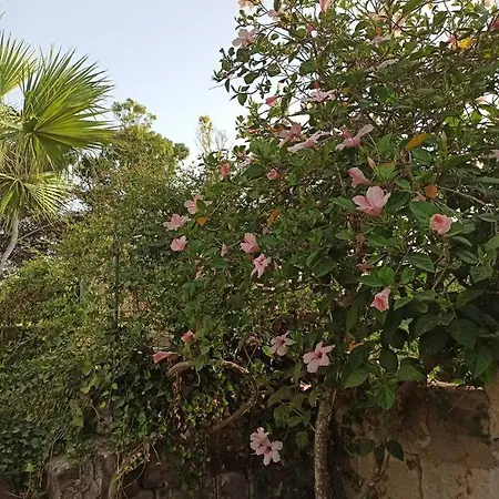 Villa La Casa Di Amelie *